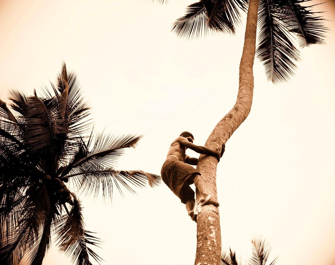 The Flame Tree Estate & Hotel キャンディー エクステリア 写真